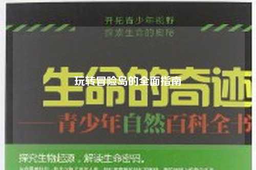 玩转冒险岛的全面指南