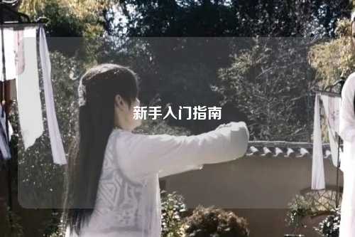新手入门指南