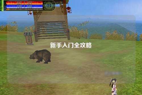 新手入门全攻略