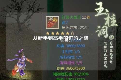 从新手到高手的进阶之路