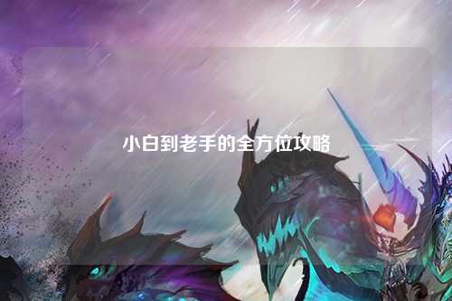 小白到老手的全方位攻略