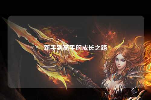 新手到高手的成长之路