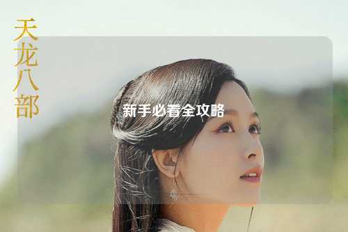 新手必看全攻略