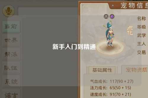 新手入门到精通