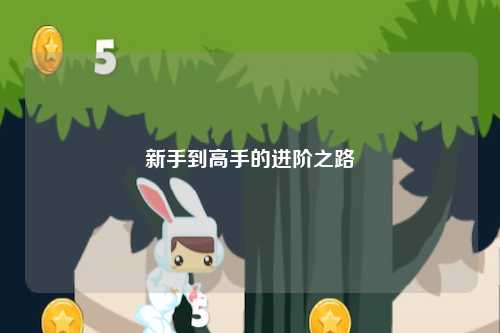 新手到高手的进阶之路