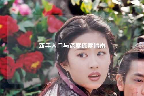 新手入门与深度探索指南
