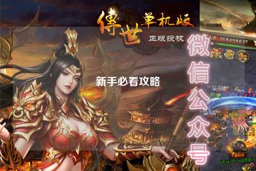 新手必看攻略