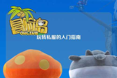 玩转私服的入门指南