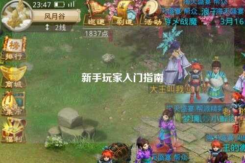 新手玩家入门指南